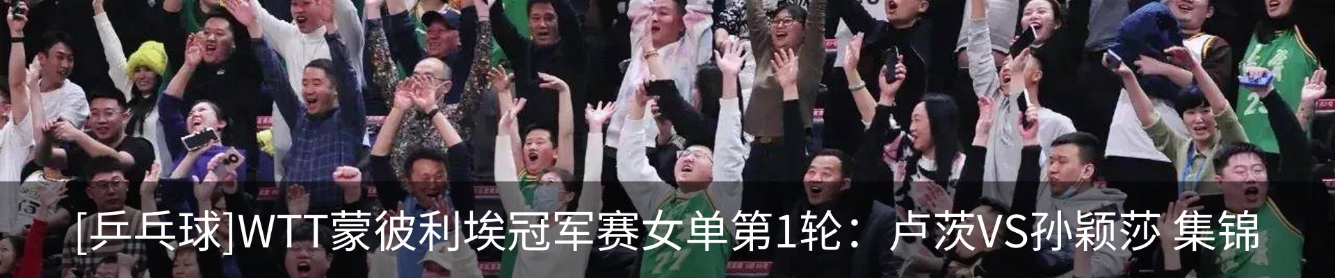 最新动态